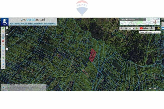 Działka leśna – idealna inwestycja w naturę