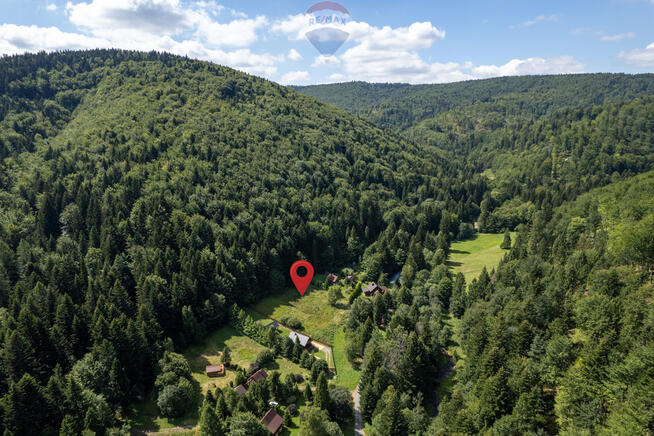 Działka inwestycyjna w leśnym zaciszu, Targoszów