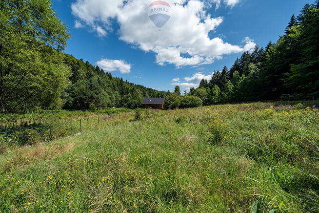 Działka inwestycyjna w leśnym zaciszu, Targoszów