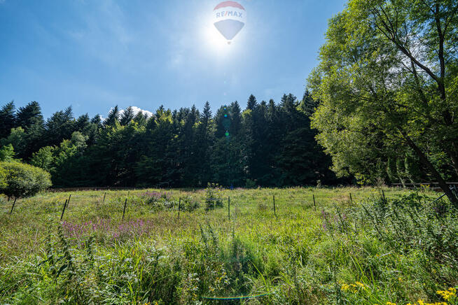 Działka inwestycyjna w leśnym zaciszu, Targoszów