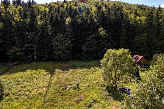 Działka inwestycyjna w leśnym zaciszu, Targoszów