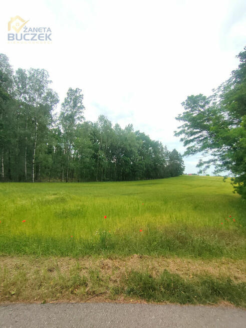 Działka rolna Zakrzew gm. Nowa Sucha,