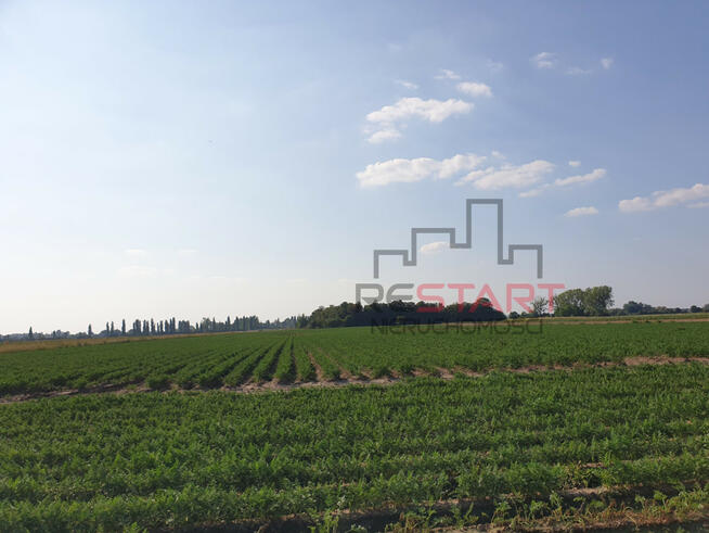 Działka rolna Żuków gm. Grodzisk Mazowiecki,