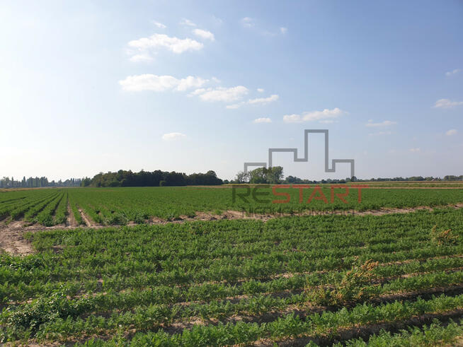 Działka rolna Żuków gm. Grodzisk Mazowiecki,