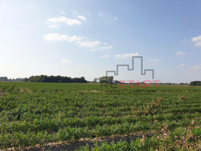 Działka rolna Żuków gm. Grodzisk Mazowiecki,