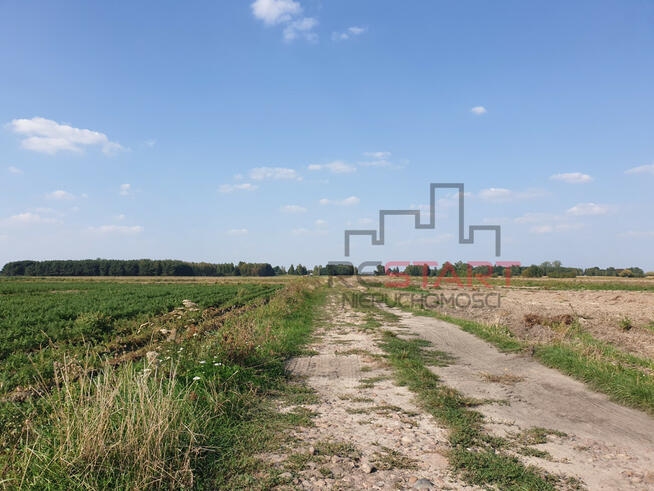Działka rolna Żuków gm. Grodzisk Mazowiecki,