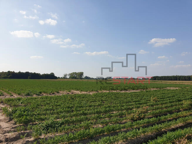 Działka rolna Żuków gm. Grodzisk Mazowiecki,