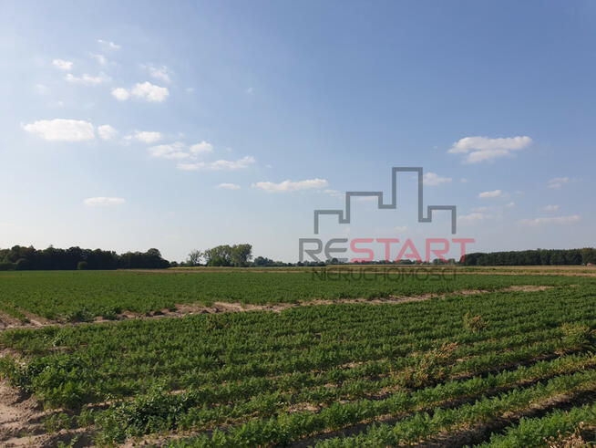 Działka rolna Żuków gm. Grodzisk Mazowiecki,