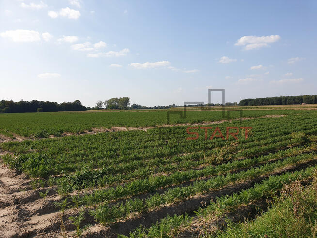 Działka rolna Żuków gm. Grodzisk Mazowiecki,