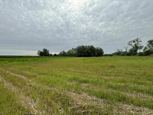 Nowa Huta Kościelniki działki rekreacyjne od 8 ar do 30 ar.