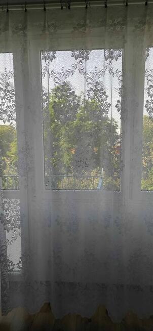 Ładna duża firana 4m x 2,30m