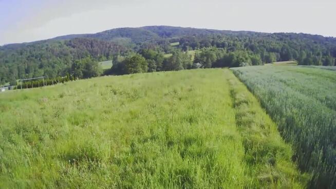 Lipnica Dolna-malownicze miejsce z potencjałem inwestycyjnym