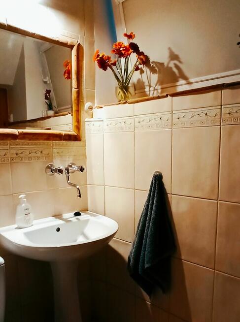 Pokój z łazienką. Gdańsk Sobieszewo.