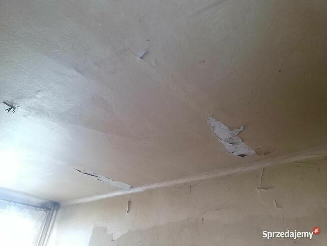 Mieszkanie własność