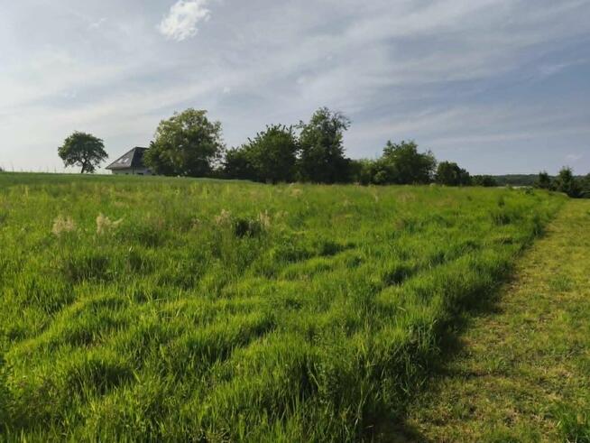 Lipnica Dolna-malownicze miejsce z potencjałem inwestycyjnym