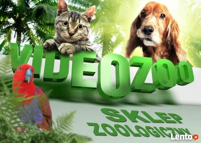 Sklep Zoologiczny VIDEOZOO Augustów rabat -10% na wszystko!