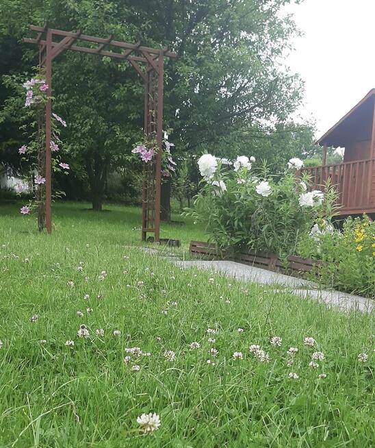 Sprzedam Ogródek działkowy