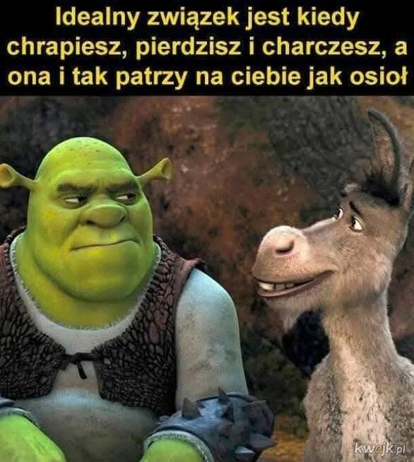 Tylko dla wolnej kobiety z Warszawy