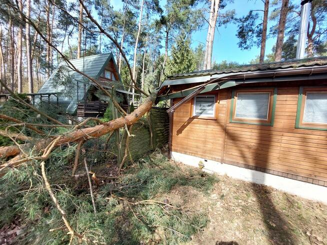 Szukam specjalisty do remontu i rozbudowy domku letniskowego