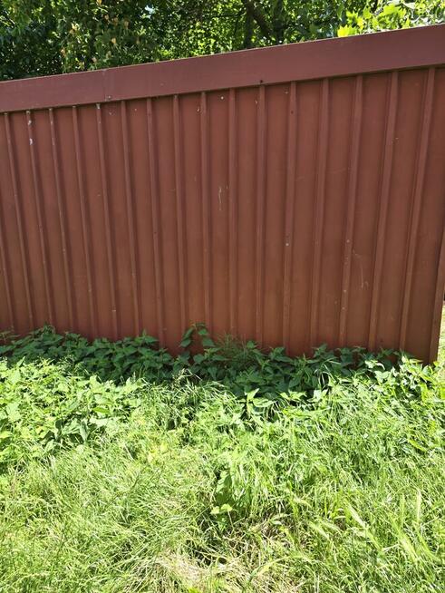 Sprzedam garaż blaszany we Wrocławiu demontaż wlasny