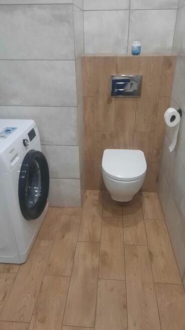 Do wynajęcia mieszkanie w bloku.