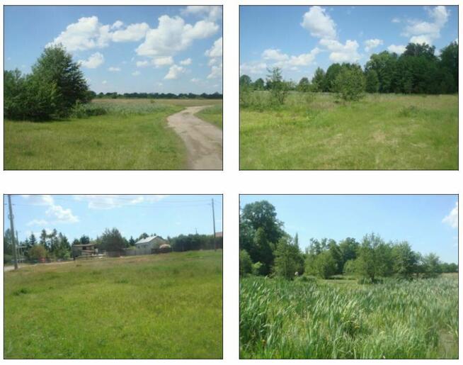 Syndyk sprzeda działki Brzeźce gm. Białobrzegi