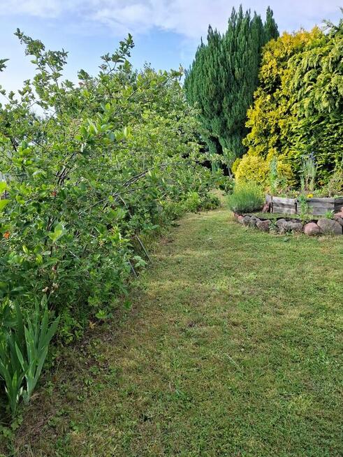 Sprzedam działkę rekreacyjną