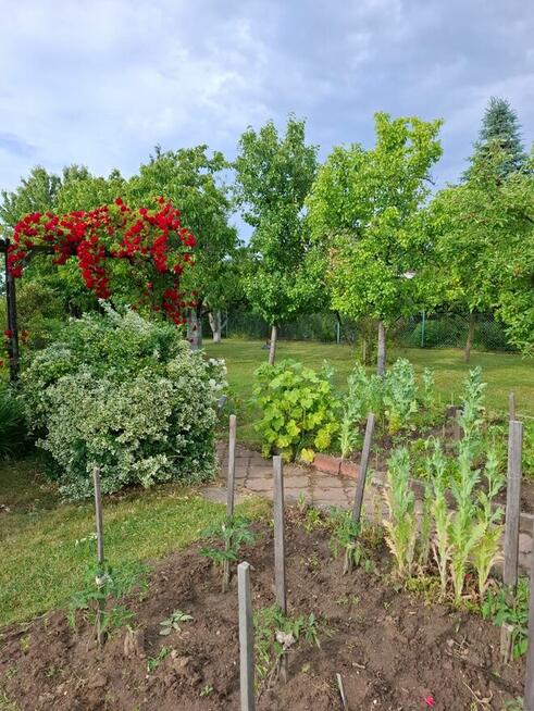 Sprzedam działkę rekreacyjną