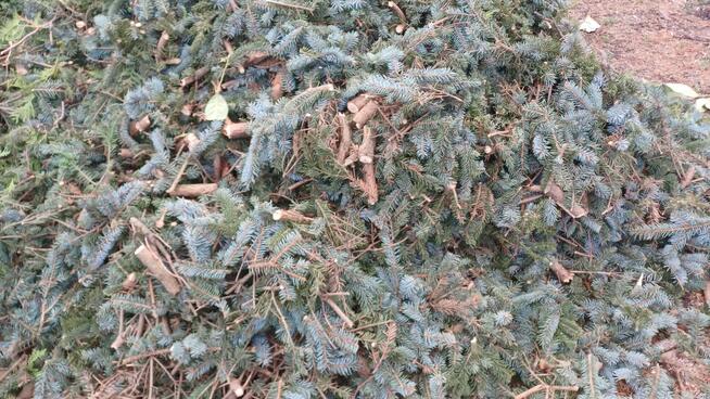 Usługi glebogryzarka Międzyrzecz Sulechów Nowa Sól Żary