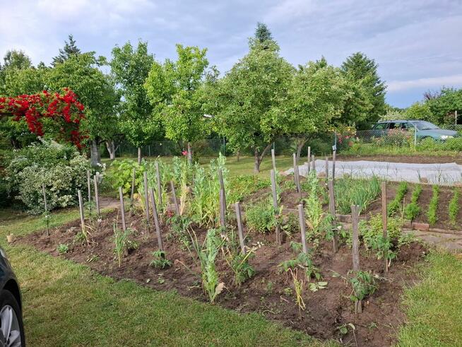 Sprzedam działkę rekreacyjną