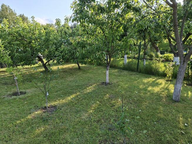 Działka Rodo Krokus