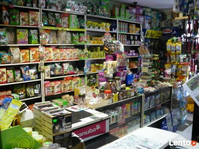 Sklep Zoologiczny VIDEOZOO Augustów rabat -10% na wszystko!