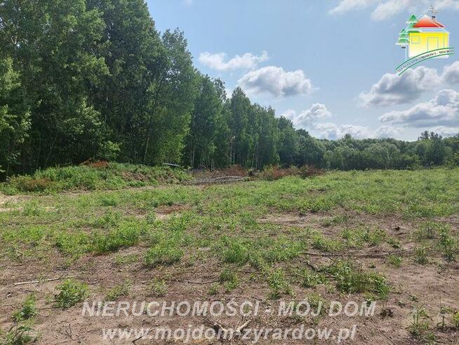 Działka budowlana Korytów gm. Radziejowice