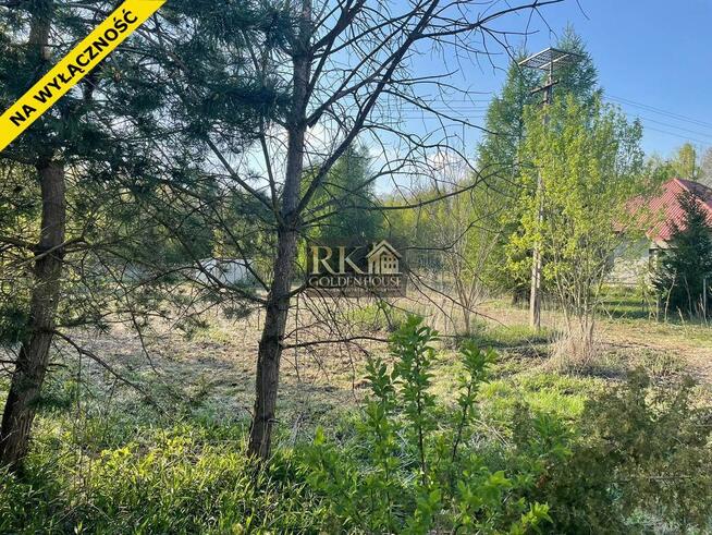 Działka rolna- budowlana 3000m2 Gołąbek gm Skórzec