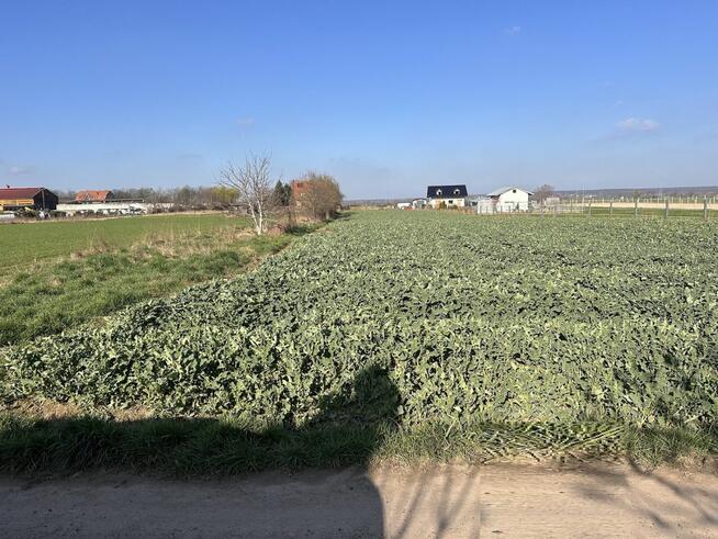 Działka budowlana Kunice, Fiołkowa