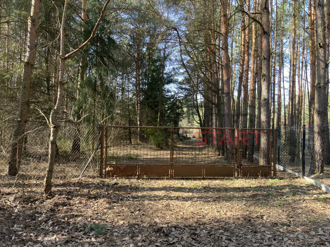 Działka rekreacyjna Siestrzeń gm. Żabia Wola,