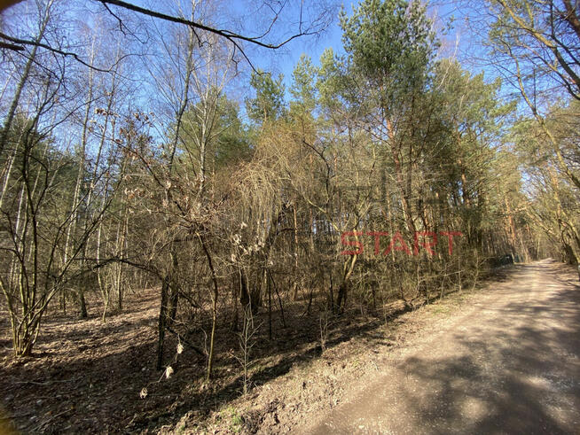 Działka rekreacyjna Siestrzeń gm. Żabia Wola,