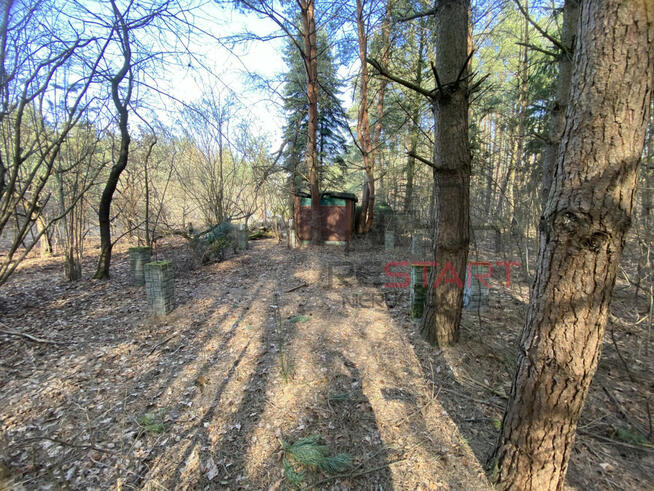 Działka rekreacyjna Siestrzeń gm. Żabia Wola,