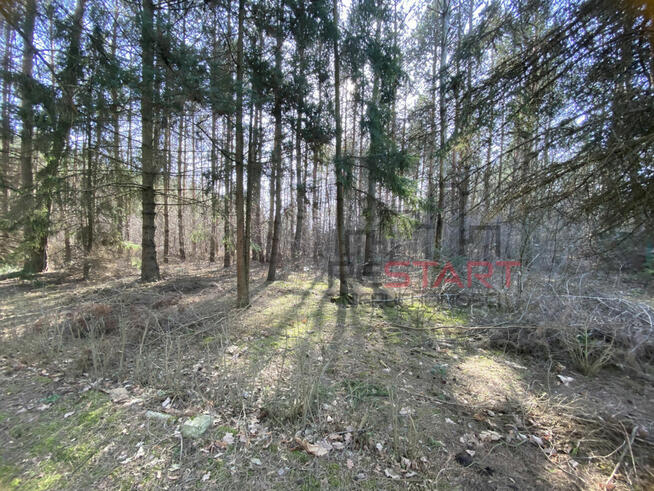 Działka rekreacyjna Siestrzeń gm. Żabia Wola,