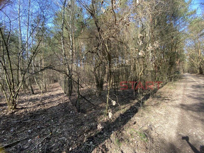 Działka rekreacyjna Siestrzeń gm. Żabia Wola,