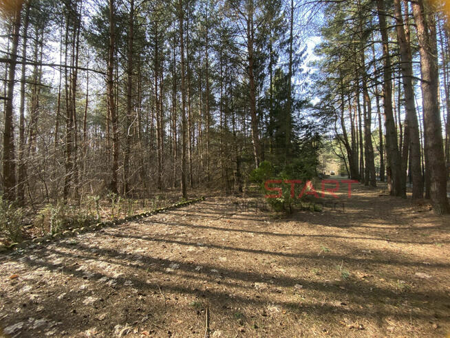 Działka rekreacyjna Siestrzeń gm. Żabia Wola,