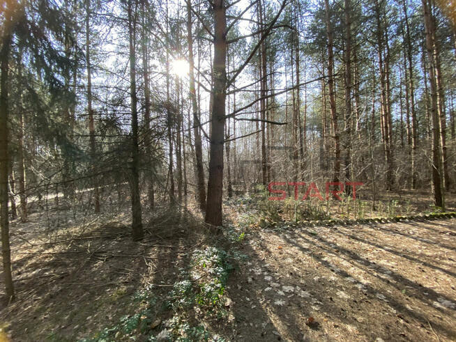 Działka rekreacyjna Siestrzeń gm. Żabia Wola,