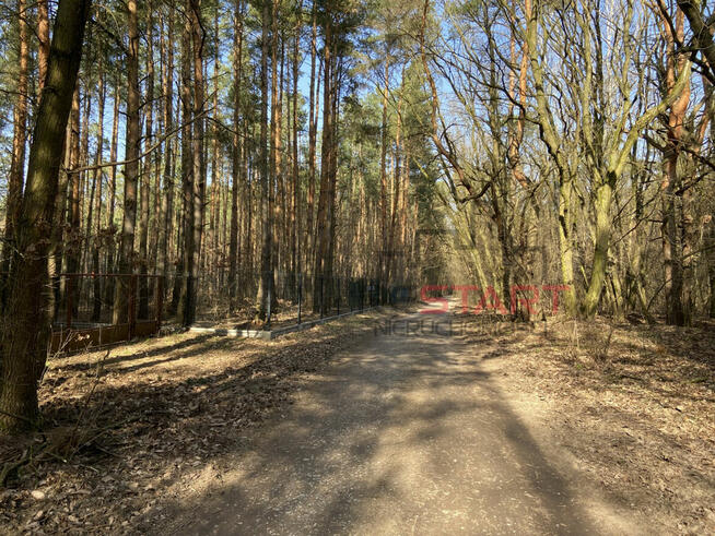 Działka rekreacyjna Siestrzeń gm. Żabia Wola,