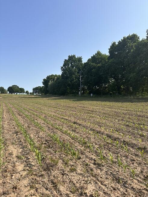 Działka z W.Zabudowy w Radzanku –Gm.Maszewo