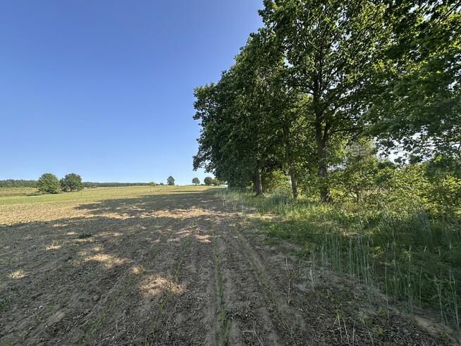 Działka z W.Zabudowy w Radzanku –Gm.Maszewo