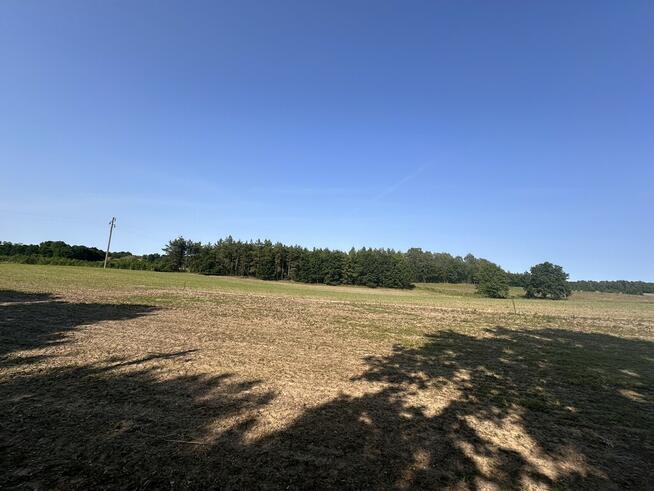 Działka z W.Zabudowy w Radzanku –Gm.Maszewo