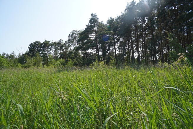 Działka nad morzem