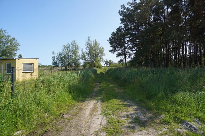 Działka nad morzem