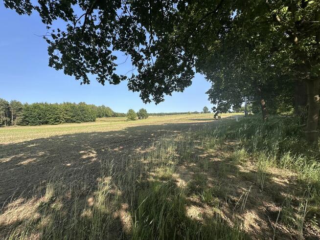 Działka w Radzanku–Gm.Maszewo war.zabud.