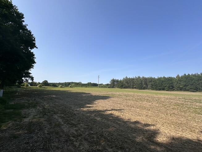 Działka w Radzanku–Gm.Maszewo war.zabud.